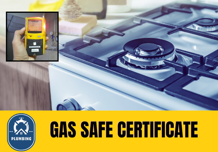 gas safe certificate Kings Hill 