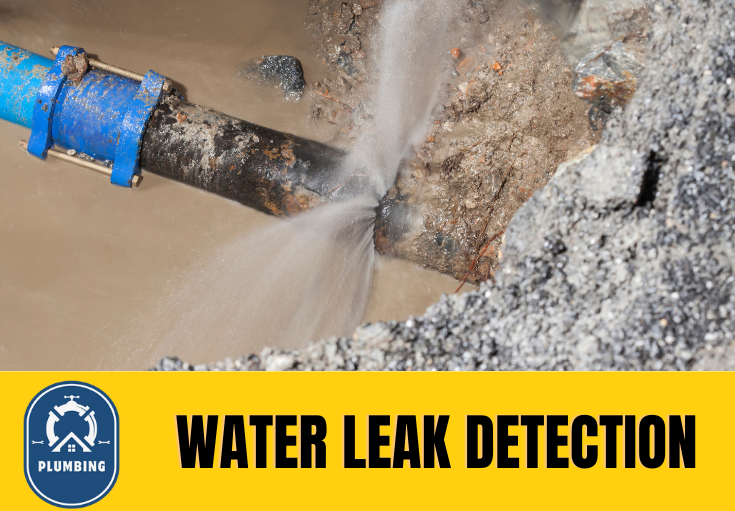 leak detection Kings Hill 