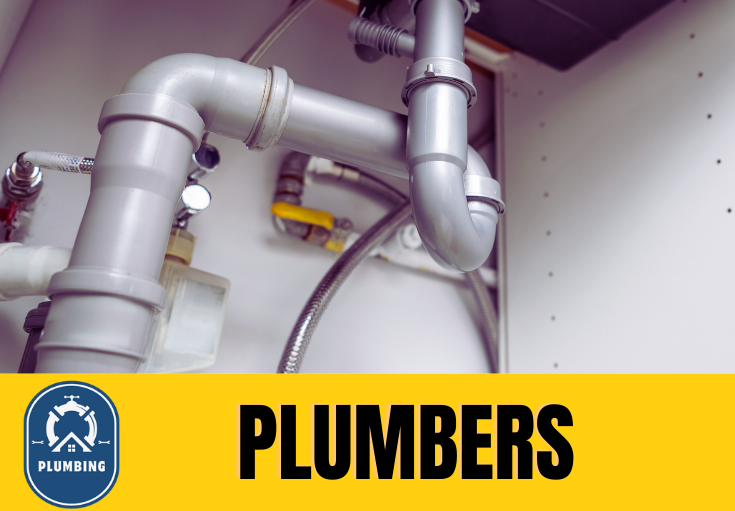  plumber Larkfield